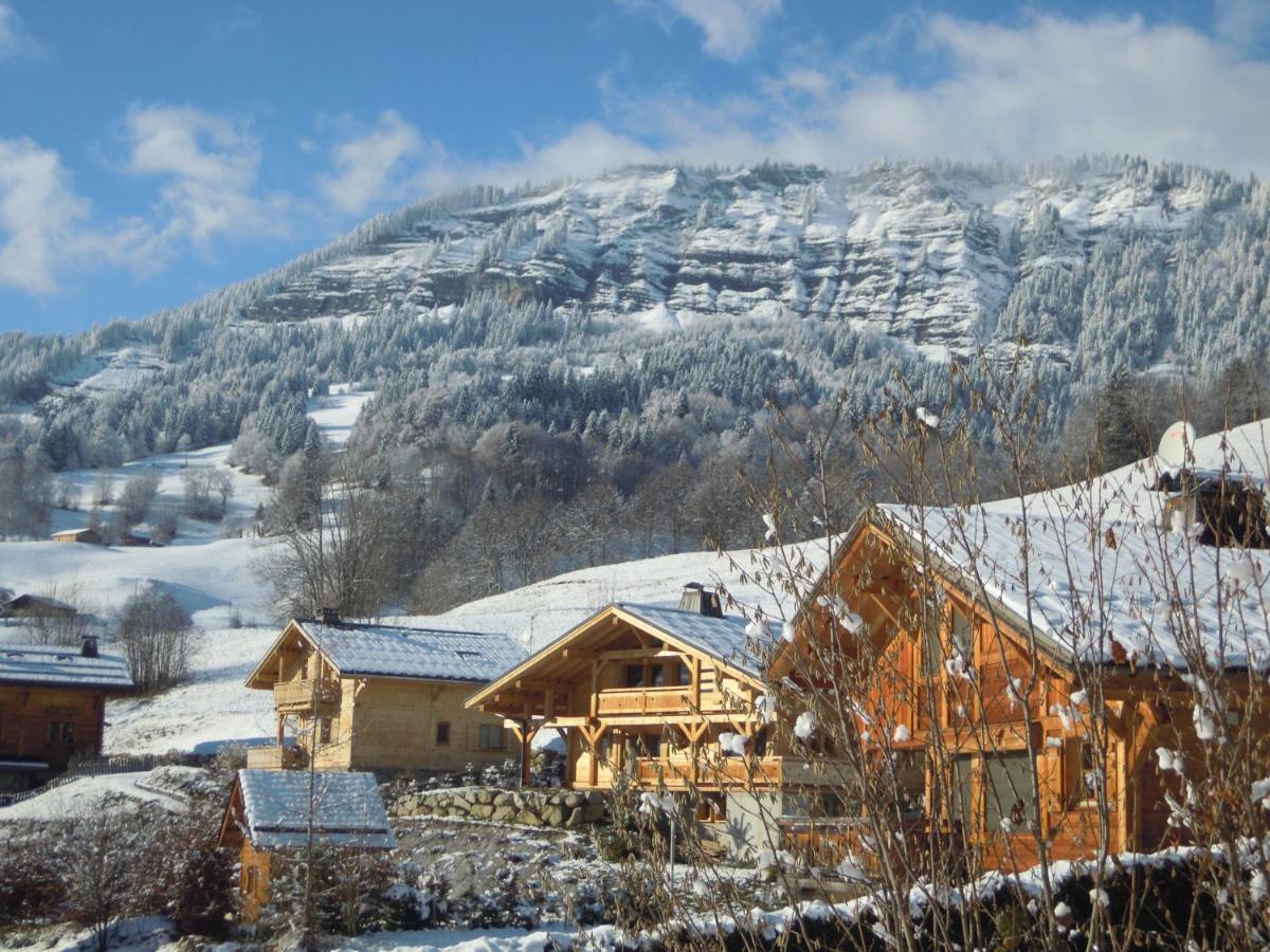 A4 km de Megève très joli studio avec jacuzzi ,vue sur les montagnes au calme Praz-sur-Arly Extérieur photo