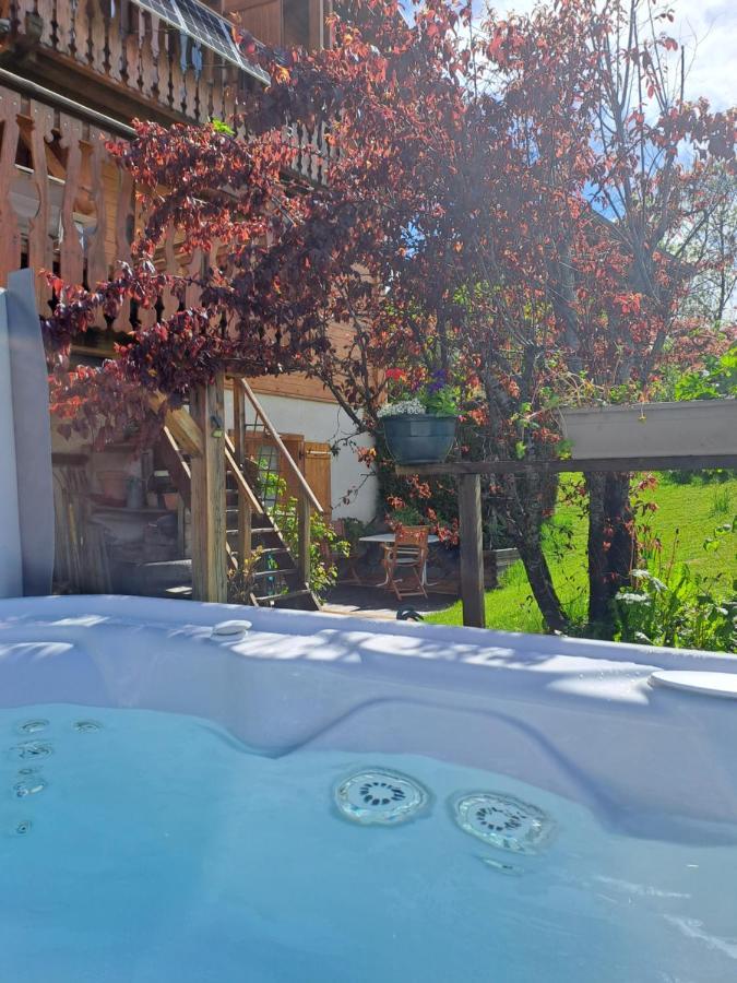 A4 km de Megève très joli studio avec jacuzzi ,vue sur les montagnes au calme Praz-sur-Arly Extérieur photo